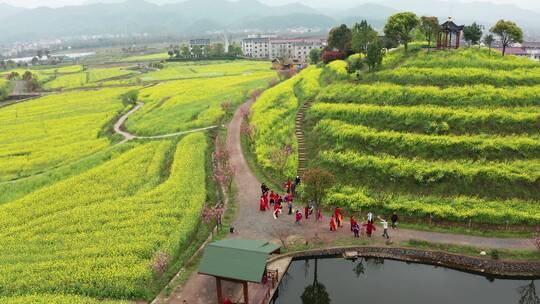 美丽乡村东阳湖溪象田村油菜花海风光 航拍