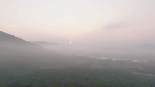 山间晨雾森林远景