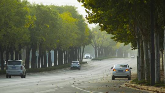 道路上行驶的车辆