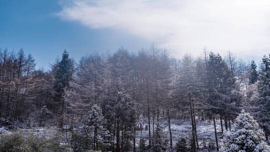 6k冬天山川树林冰雪延时摄影