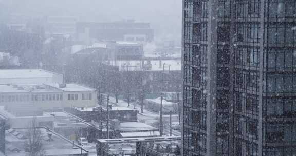 降雪，建筑物，温哥华，大都会