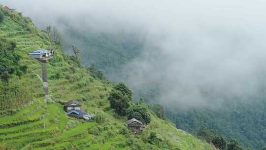 水稻梯田，山，树，房子