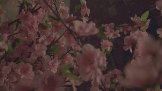桃花树假树
