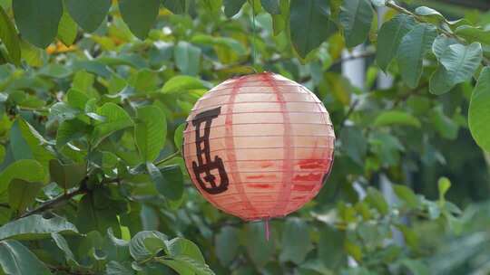 中秋节绿叶间挂的纸灯笼