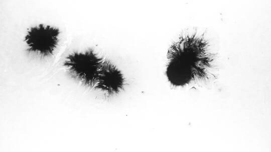 4k水墨扩散飞溅泼墨滴落视频素材 (46)