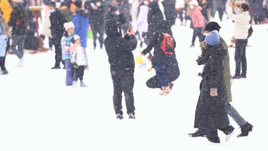 下雪 赏雪