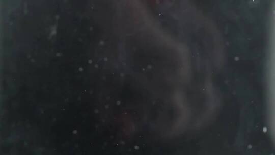 慢镜头拍摄新鲜小番茄落入水中唯美创意视频