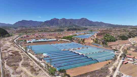 乡村蔬菜大棚 现代农业科技大棚种植