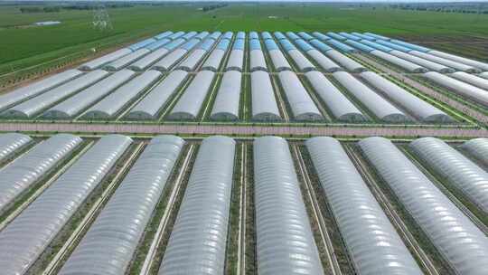 航拍三农业现代化大棚基地水稻育秧蔬菜大棚