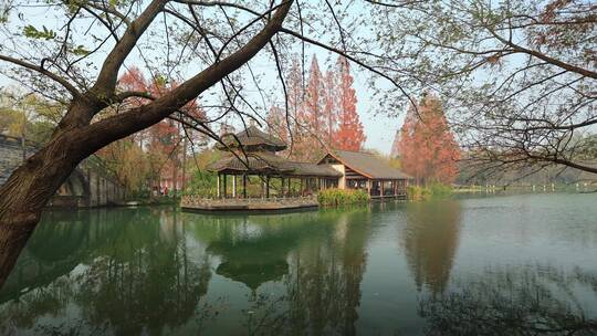 杭州西湖茅家埠风景视频素材模板下载