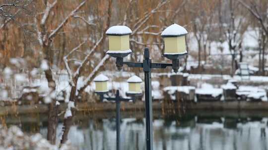 雪后公园美景