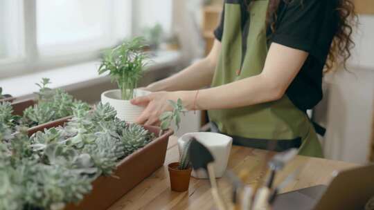 一个女人重新排列花盆里的植物