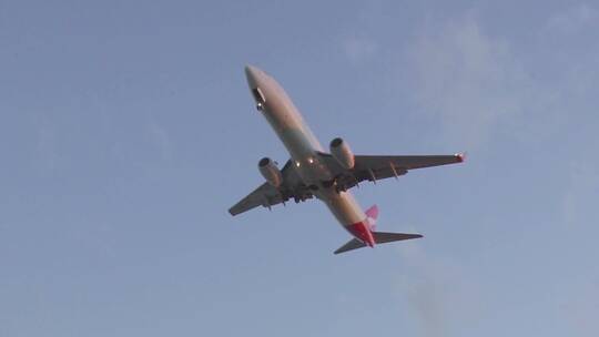 机场飞机降落飞机特写飞机在机场视频素材模板下载