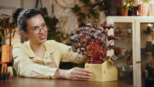 女人，花店，植物园，植物