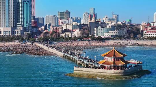 青岛海鸥青岛老城区栈桥