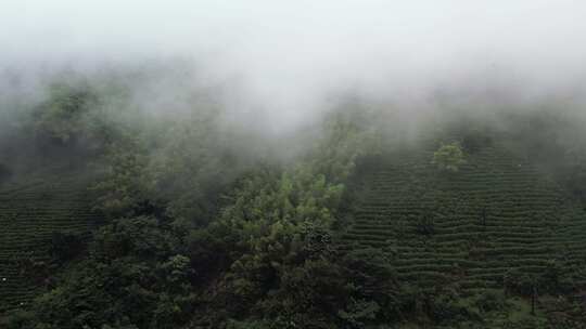 山雾自然风景