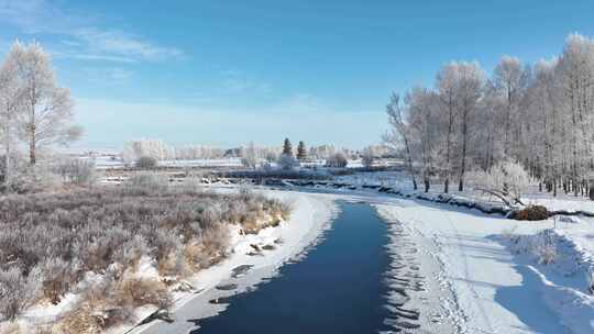 大兴安岭初冬湿地河流雪松美景