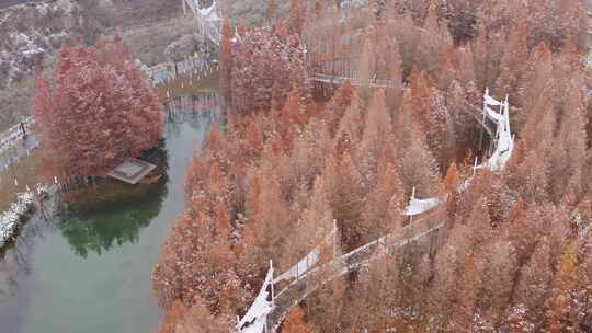 合集 航拍冬季公园雪景