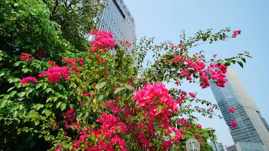 广西南宁五象新区东盟总部基地街景