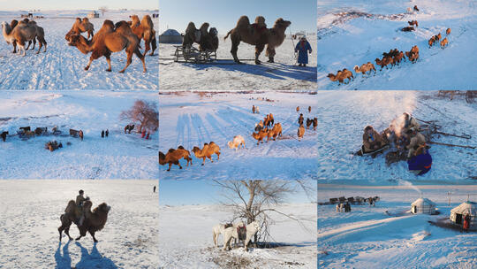 【10条合集】蒙古族民俗传统文化-50高清在线视频素材下载