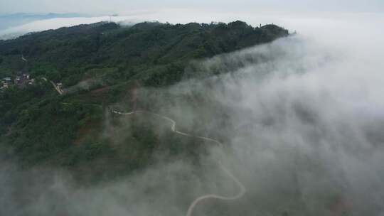 云雾缭绕茶山航拍风景