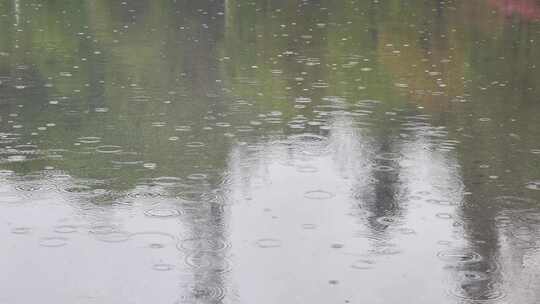 大自然雨季下雨雨滴树林树叶雨水