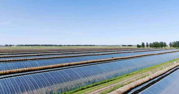 农田蔬菜大棚俯瞰全景