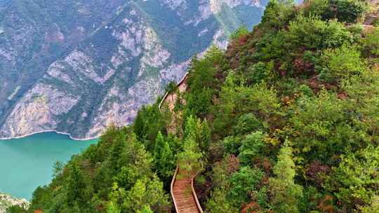 三峡红叶