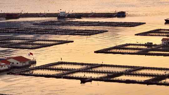 4K航拍黄昏渔场晚霞中的海上养殖网