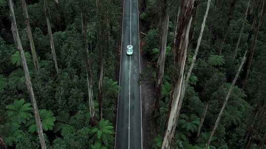 航拍跑车行驶在森林中超级跑车迈凯轮阿图拉