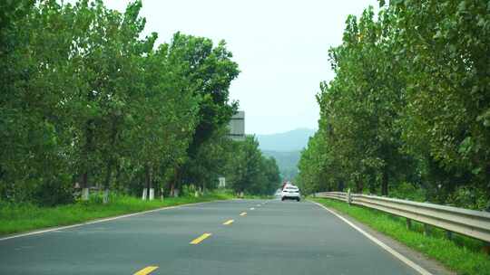 开车行驶林荫小道汽车乡村公路道路驾驶视角