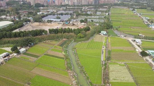 城市郊区航拍