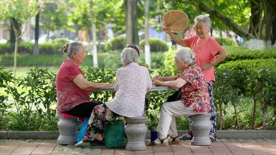 公园老人幸福生活老龄化休闲夕阳红视频素材模板下载