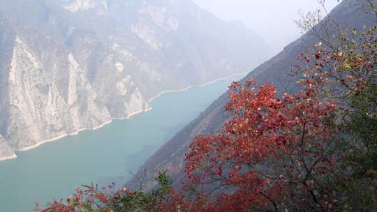 长江三峡巫峡红叶