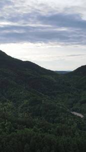 旅游景区湖南中坡山国家森林公园竖屏