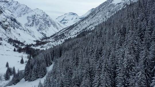 航拍大雪覆盖后的森林和高山