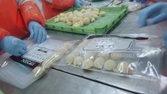 海参加工生产线工人在流水线上处理海鲜制品