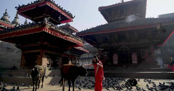 美女在杜巴广场开心舞蹈飞舞的鸽子4k旅拍