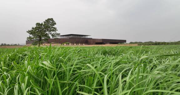 洛阳二里头夏都博物馆航拍芦苇荡建筑美学