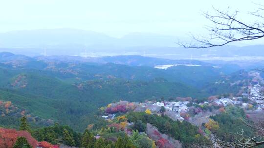 日本吉野山樱花满山开视频素材