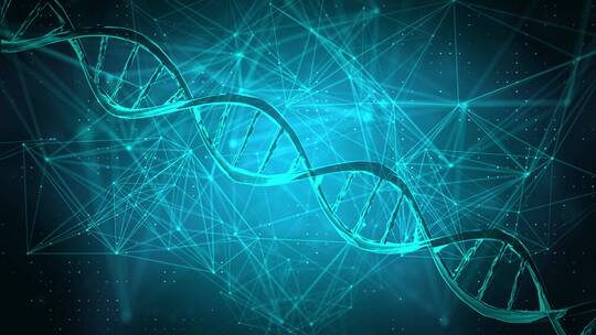 DNA复杂结构的模拟