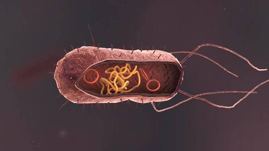医学病原体病毒病原体病菌细菌医学三维动画
