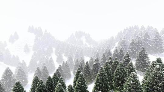 冬天森林下雪视频