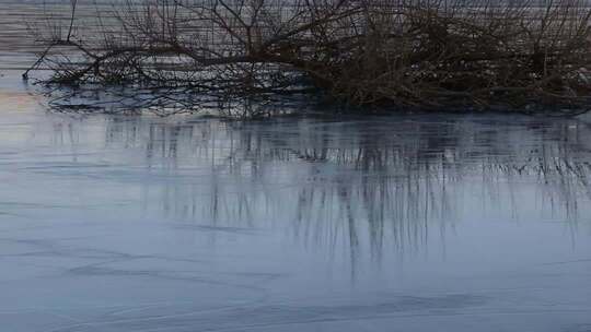 冬季结冰河面与岸边枯枝