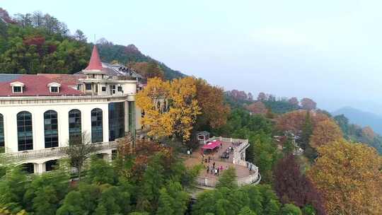 森林 旅游 旅游景区 景区 风景 浙江