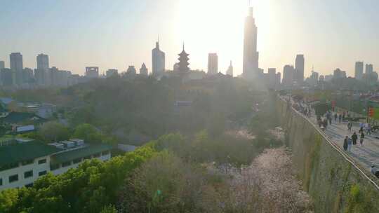 南京市玄武区玄武湖景区古鸡鸣寺樱花风景视