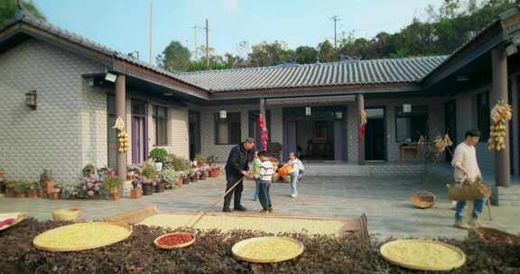 高清实拍农家院子丰收