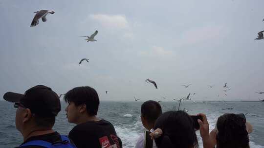 山东荣成鸡鸣岛游船上喂海鸥的游客人群