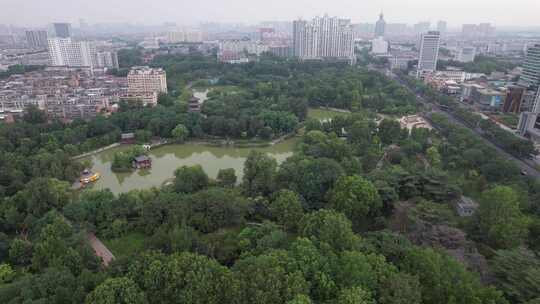 城市中绿树成荫的公园全景