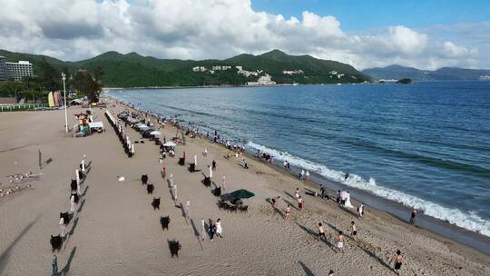 深圳海边沙滩佳兆业金沙湾